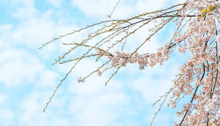 Temperature danes ponekod nad 25 stopinj Celzija, konec tedna pa prinaša preobrat