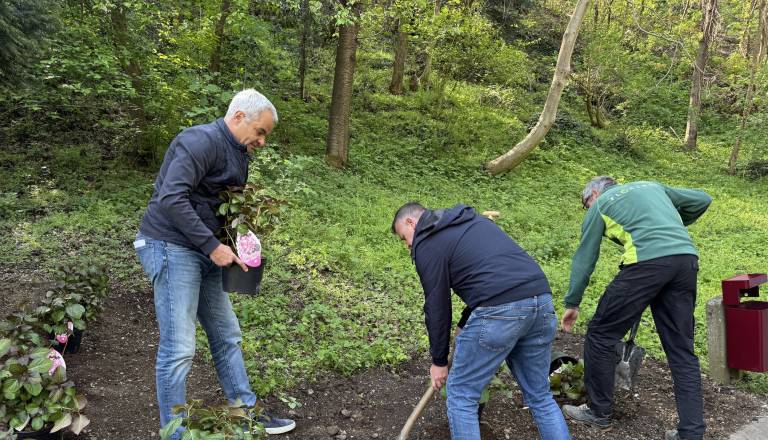 FOTO in VIDEO: Na Studencih zasadili nove rastline: Arsenovič: »Želim si, da bi mladi tukaj pustili korenine«