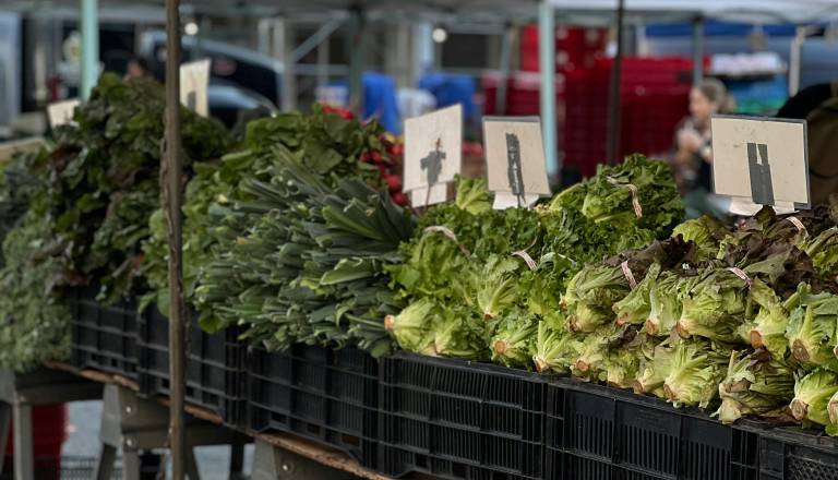 Kranj napovedal spremembe: Več lokalne hrane, manj odvisnosti od tujine