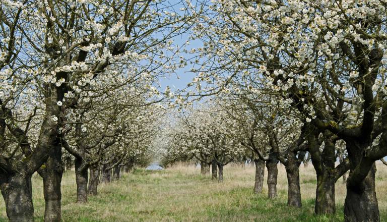 Prihaja dež, a ne bo dovolj: Razmere postajajo vse bolj zaskrbljujoče
