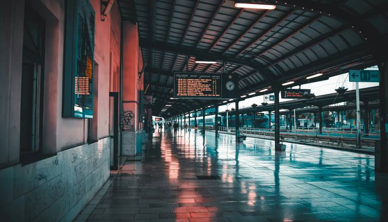 Na vlaku pozabila 20 tarantel, našel jih je strojevodja