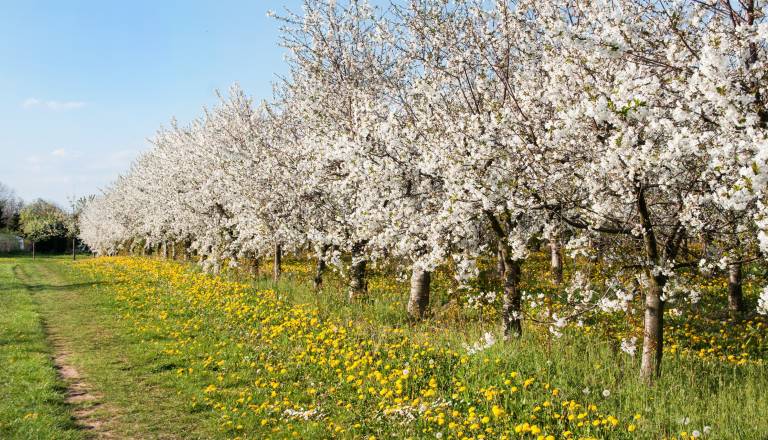 Danes sonce, jutri nevihte – a to ni največja težava v Sloveniji