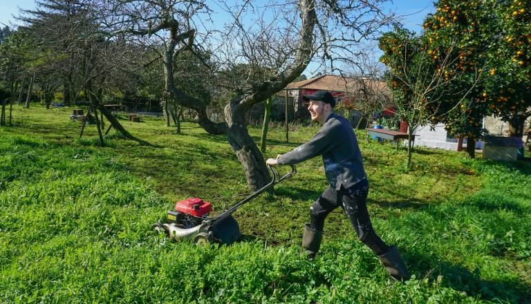 Kaj storiti s pokošeno travo? Te ideje vas lahko presenetijo