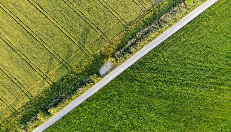 Policisti v Pomurju obravnavali goljufijo pri nakupu zemljišča