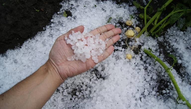 Meteorologi izdali rumeno opozorilo: Možne plohe, nalivi in veter