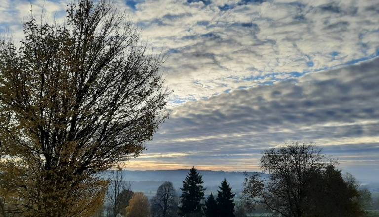 Po vetrovnem začetku tedna sledi sončna pomlad