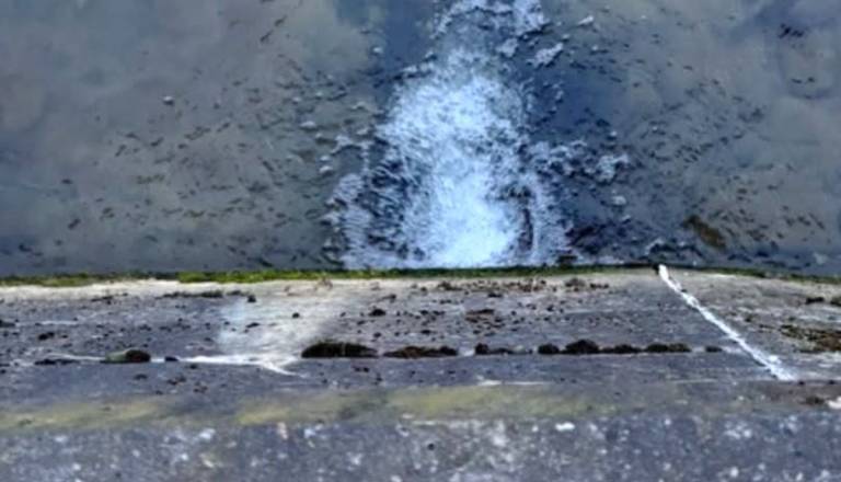 Kaj se dogaja v potoku Grajena? Občanka opozarja na brbotanje in izpuste