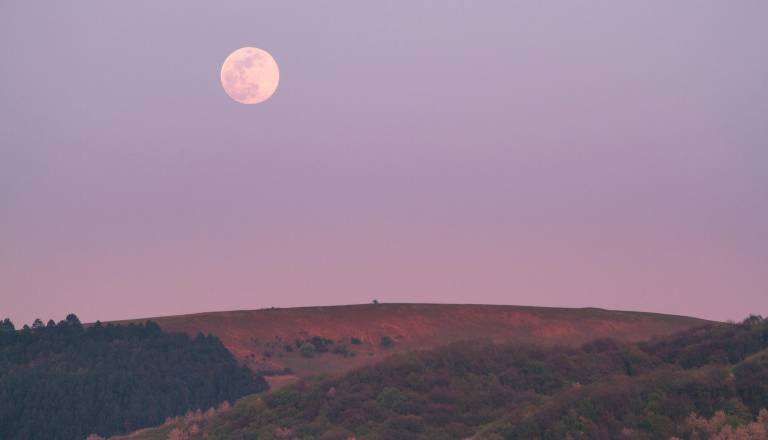 Ko zasije rožnata polna luna: Tem znamenjem se odpira zgodba iz preteklosti