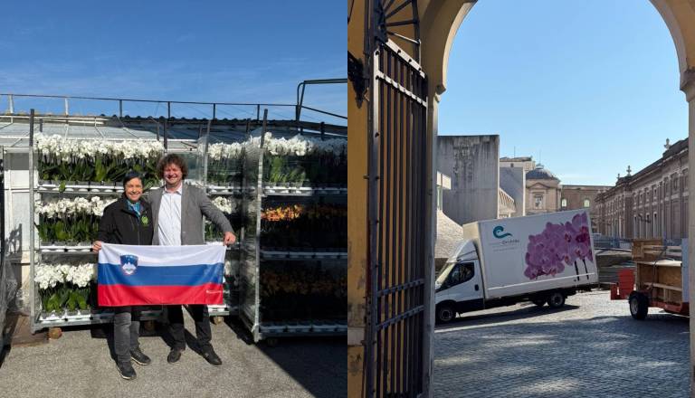 V velikonočnem Vatikanu tudi orhideje iz Ocean Orchids