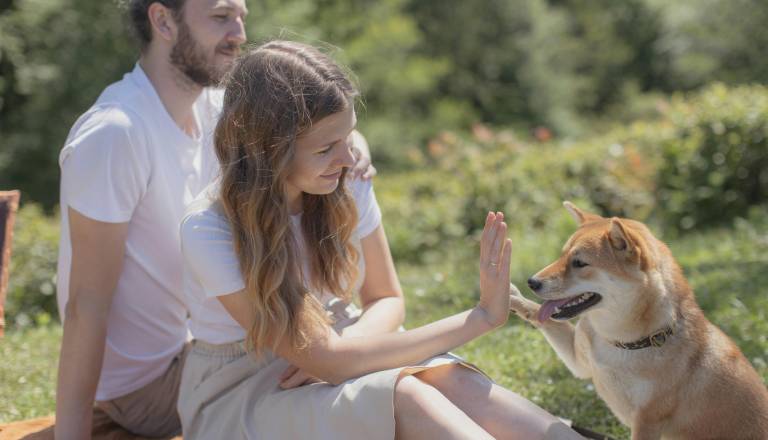 Nova zakonodaja: Kdo dobi psa po ločitvi, bo odločal sodnik