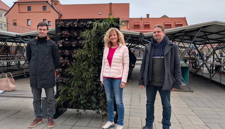 FOTO: Mariborska tržnica dobila zeleno steno: toliko stane ‘košček’ zelenja v centru