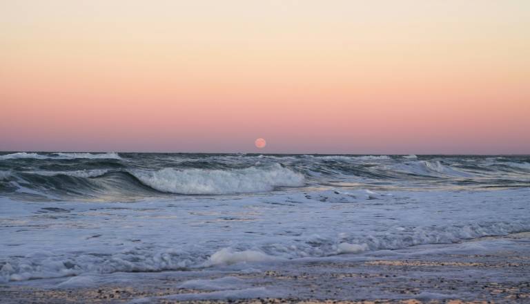Polna luna v rožnatem sijaju: Katera znamenja bodo presenečena nad starimi čustvi?