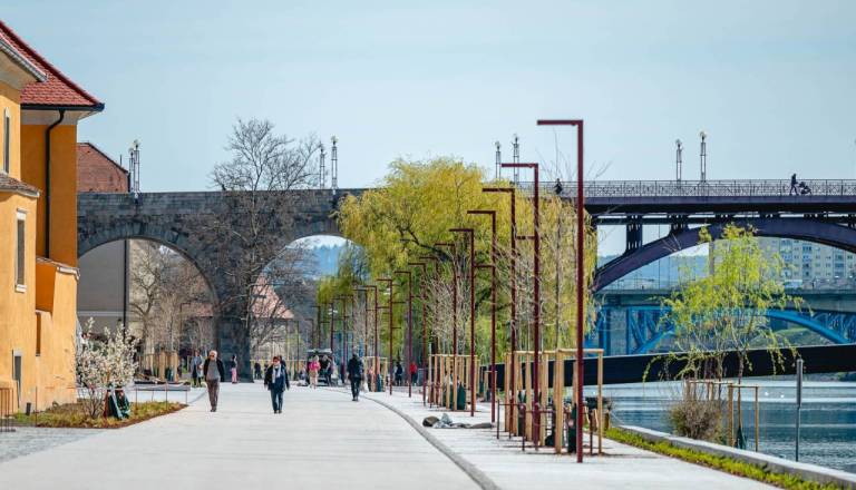 Bolniške, srčni infarkti in rak: Kako se Maribor odreže na testu zdravja?