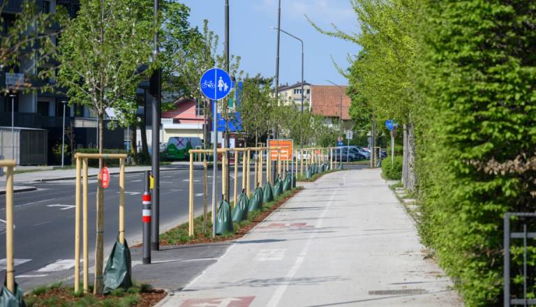 Zasaditev okrasnih divjih češenj na Čufarjevi ulici omogočili dve veliki podjetji