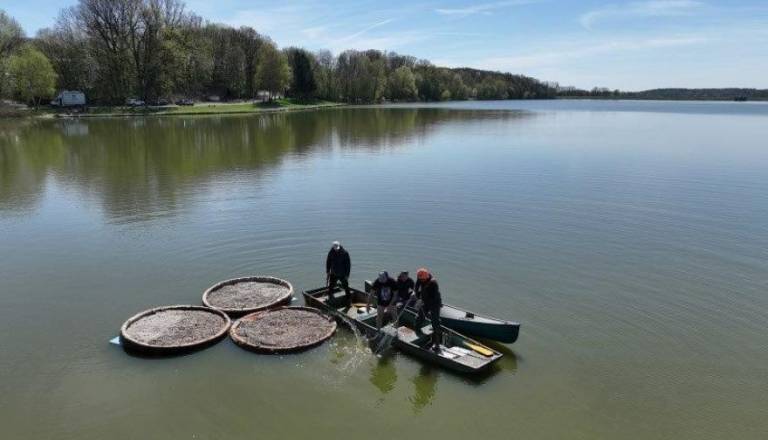 Na priljubljenem pomurskem jezeru namestili poskusne plavajoče otoke