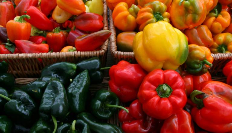 Potrošniki s podpisi zahtevajo ohranitev označevanja gensko spremenjene hrane