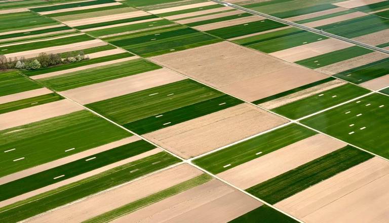 Kaj na pomurskih poljih pomenijo ti pravokotniki?