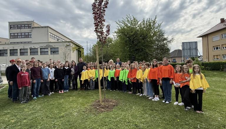 V Murski Soboti zasadili drevesa in češnjo