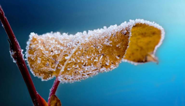 Zjutraj slana, ponekod tudi minus deset stopinj