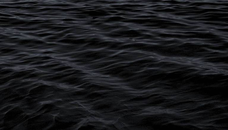 Pogrešana oseba naj bi skočila v reko Savo, takoj stekla iskalna akcija