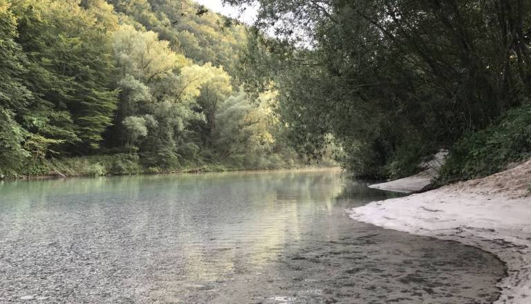 Z mostu naj bi skočila v reko Savo, gasilci pogrešano osebo iskali zaman 