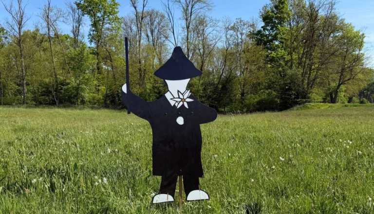 Narcise že cvetijo, pohodniki iz Veržeja postavili varuhe narave