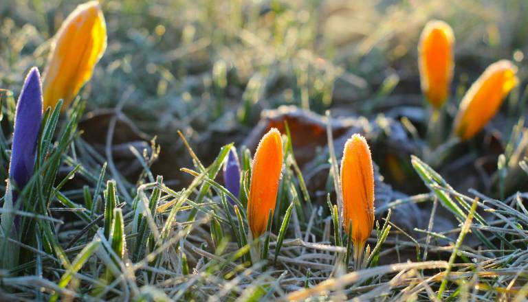 Po toplih dneh sledi šok: Prihajajo dež, ohladitev in možnost jutranje slane