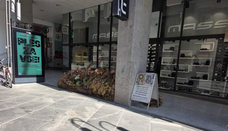 Skrivnostno 'grmovje' na Čopovi: Ljubljančani razkrivajo zgodbo moža, ki že leta prodaja rože