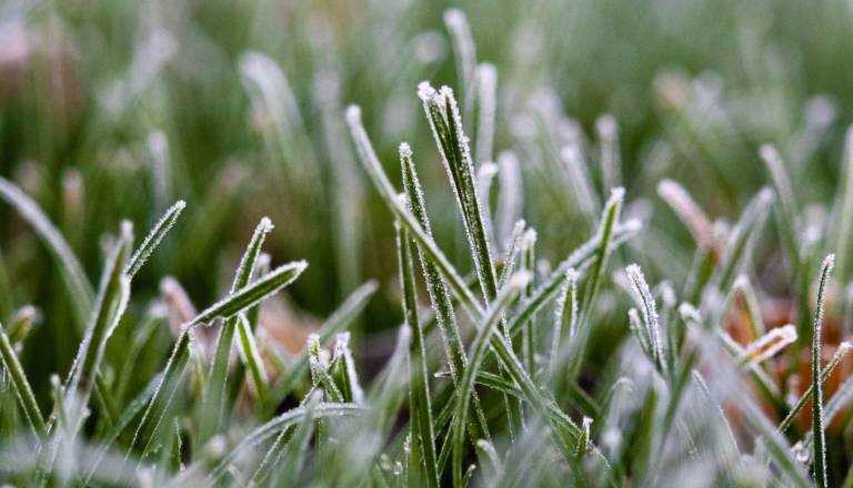 Pripravite topla oblačila, prihajajo hladna jutra: Kakšno pa bo vreme za kresovanje?