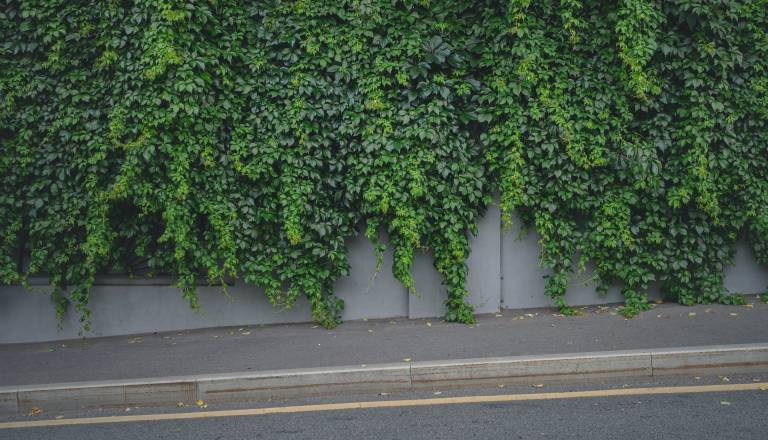 Dolenjske občine poostrile nadzor, to morajo poskrbeti občani