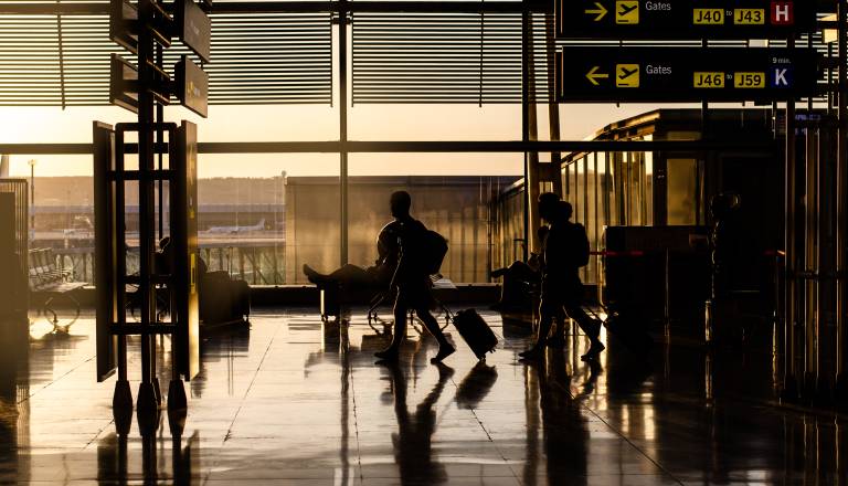 Šok na letališču: Mladenka v vrečkah, pritrjenih na njeno telo, skrila 30 zaščitenih želv