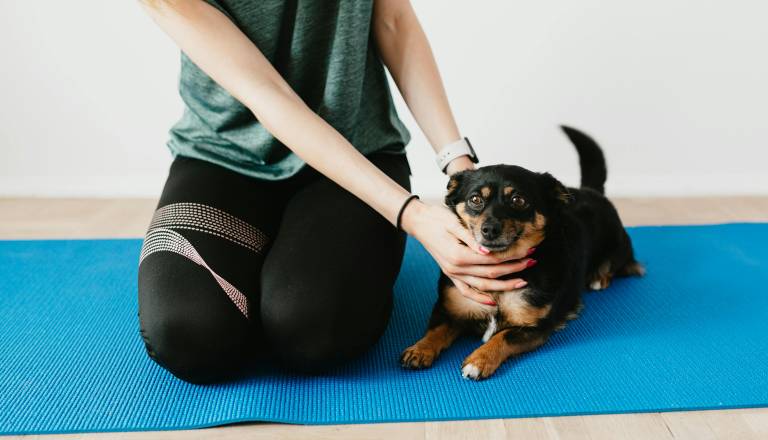 To poznamo s TikToka, zdaj prihaja tudi v Ljubljano: Prihaja vadba z malimi kužki