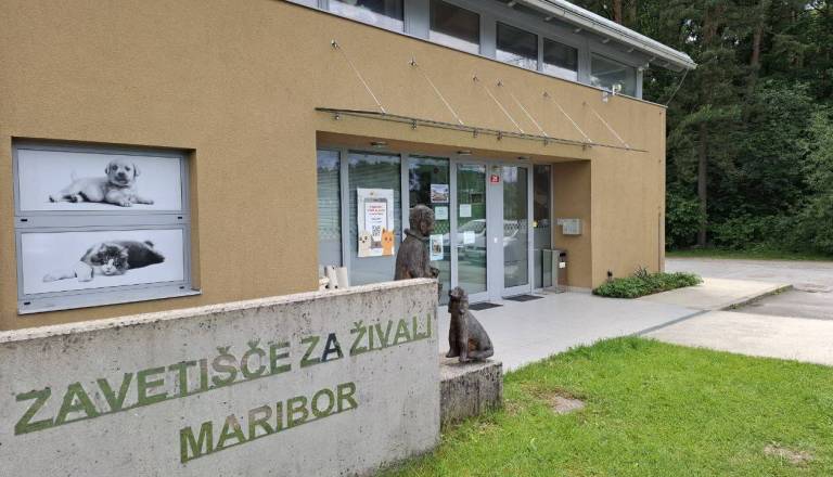 Mariborsko zavetišče z donacijami do sodobne prenosne dentalne naprave