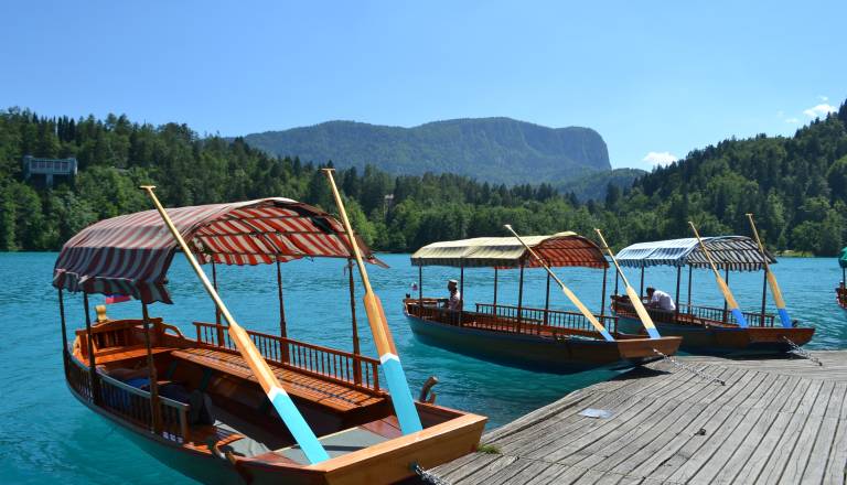 Začenja se prenova pristanišča v Zdraviliškem parku na Bledu: Bo lepše in bolj varno