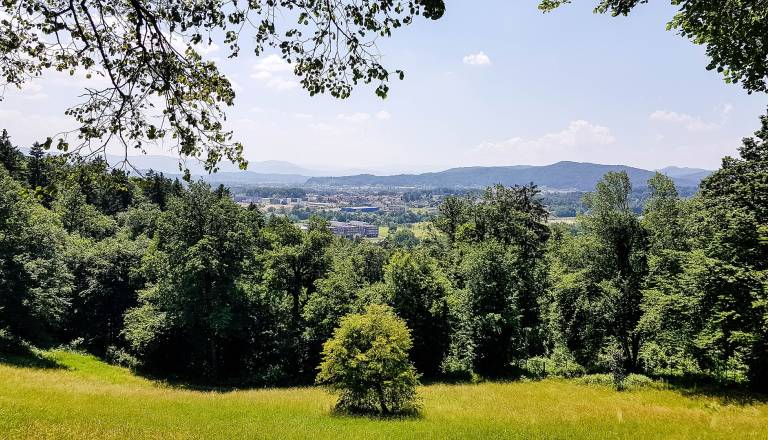 Za praznike tudi nad 20 stopinj Celzija