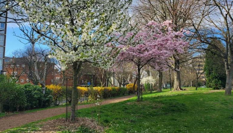 Končno pomladno! Za praznike nas čaka sonce in tudi več kot 20 stopinj