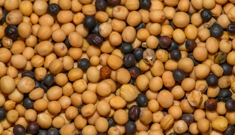 Iz prodaje umaknili to začimbo