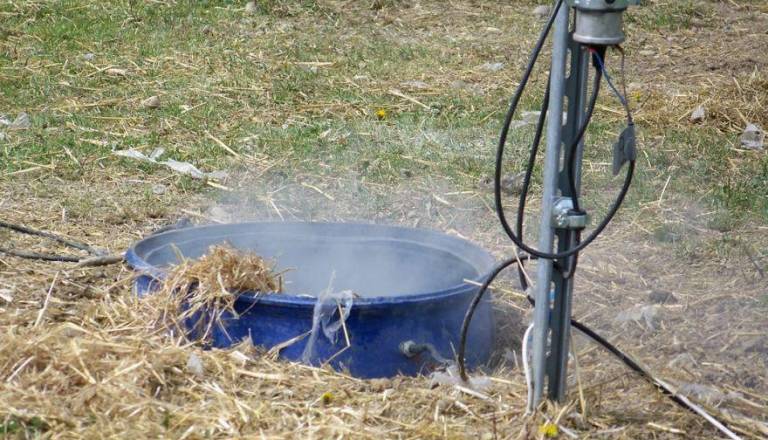 Velikonočno pokanje: Od močnega hrupa in onesnaževanja okolja do hudih poškodb in smrti