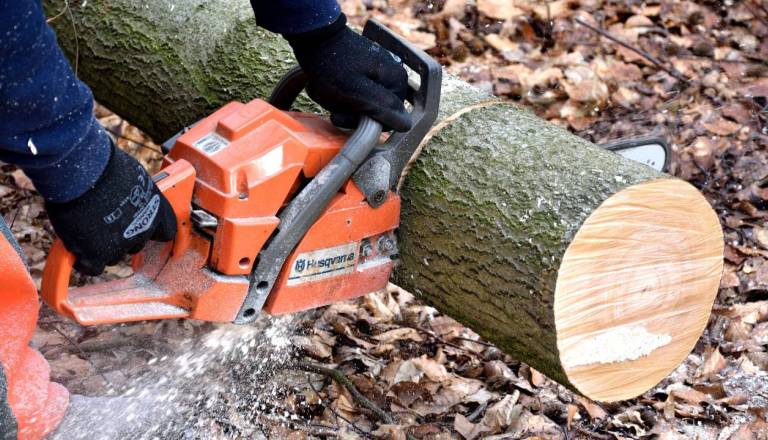 Tragična delovna nesreča, med sečnjo lesa življenje izgubil 29-letnik