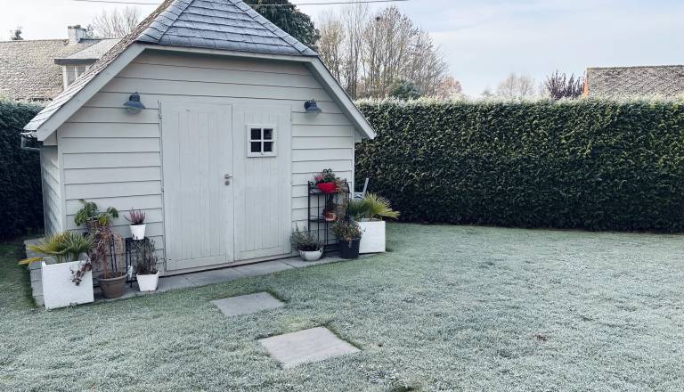 Stisnil bo mraz, zjutraj možna slana: Kako zaščititi vrt pred nizkimi temperaturami?