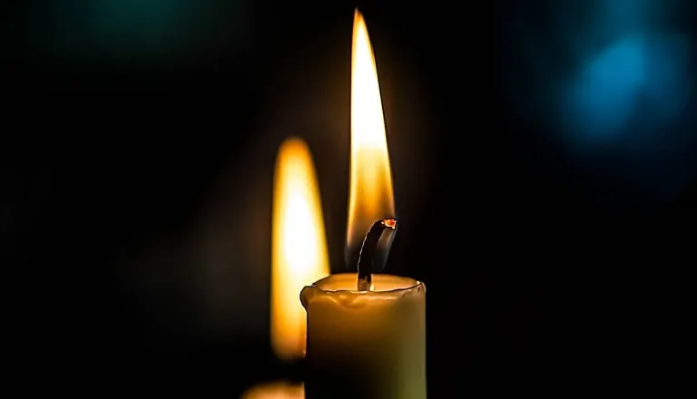 Tragedija med iskanjem velikonočnih jajc, padlo drevo zahtevalo tri mlada življenja