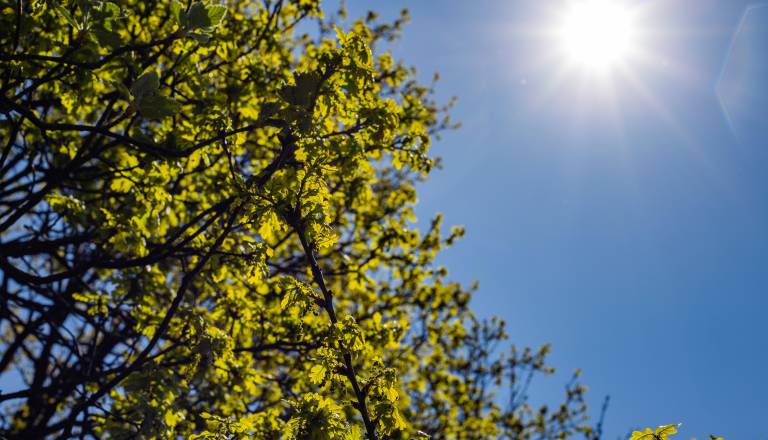 Kakšno vreme nas čaka? Temperature bodo visoke, možne so plohe