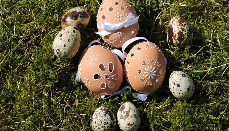 Šok na vrtu: med velikonočno igro odkrili radioaktivno snov