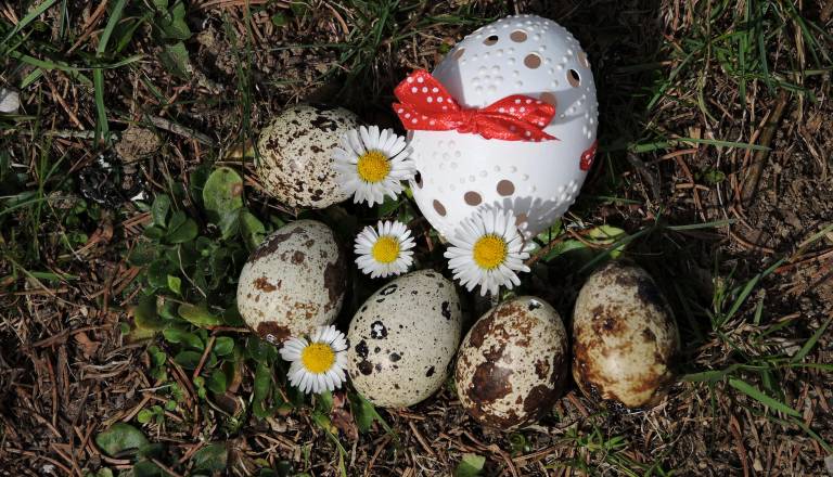 Med velikonočno zabavo odkrili radioaktivno snov, sledila intervencija