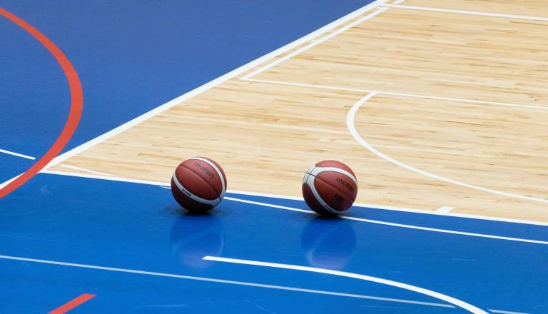 Od Bilbaa do Ilirije, pester teden slovenskih reprezentantov