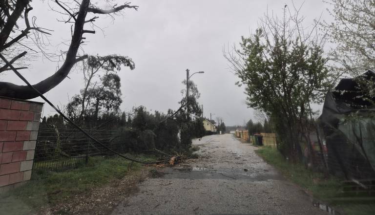 Vrtoglave številke po vetrolomu: Izplačila zavarovalnic segajo tudi do milijon evrov