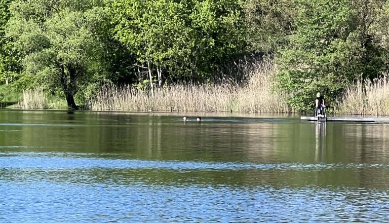 Ribolov brez dovolilnice prerasel v nasilje, mladeniča pretepla moškega in ga porinila v vodo