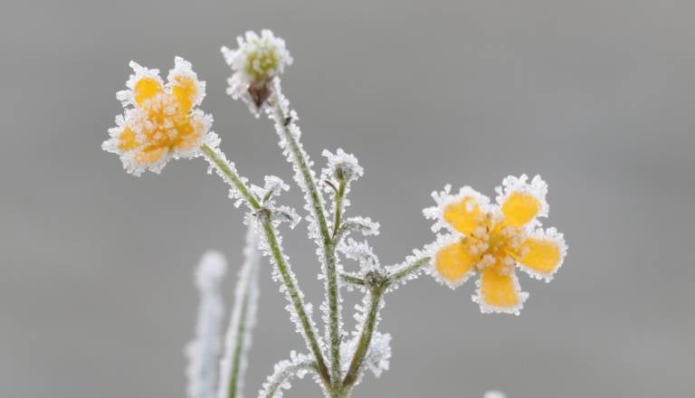 Po poletnih temperaturah sledi preobrat: Meteorologi opozarjajo na slano