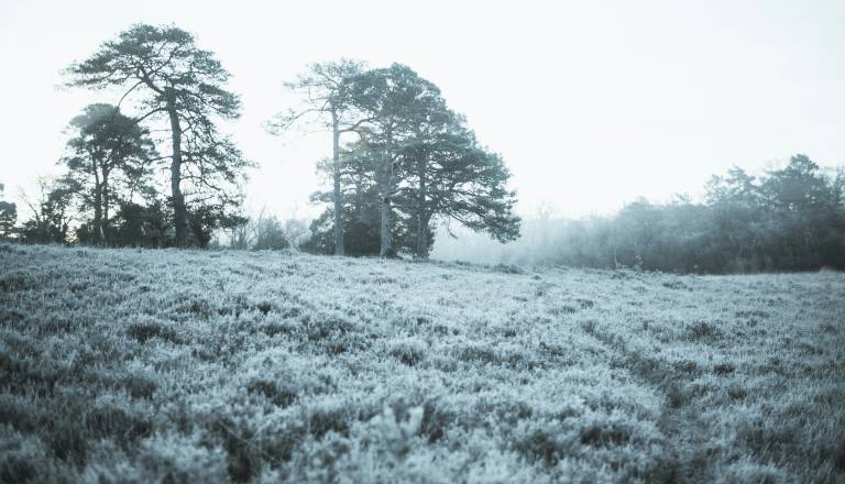 Danes zjutraj ponekod na Dolenjskem dobre tri stopinje pod ničlo 