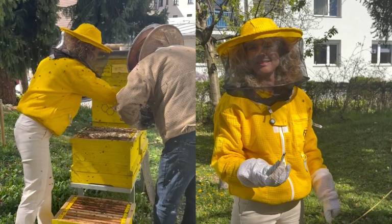 Maribor ima že deset urbanih čebelnjakov. Koliko medu je pridelal tisti pri občini?